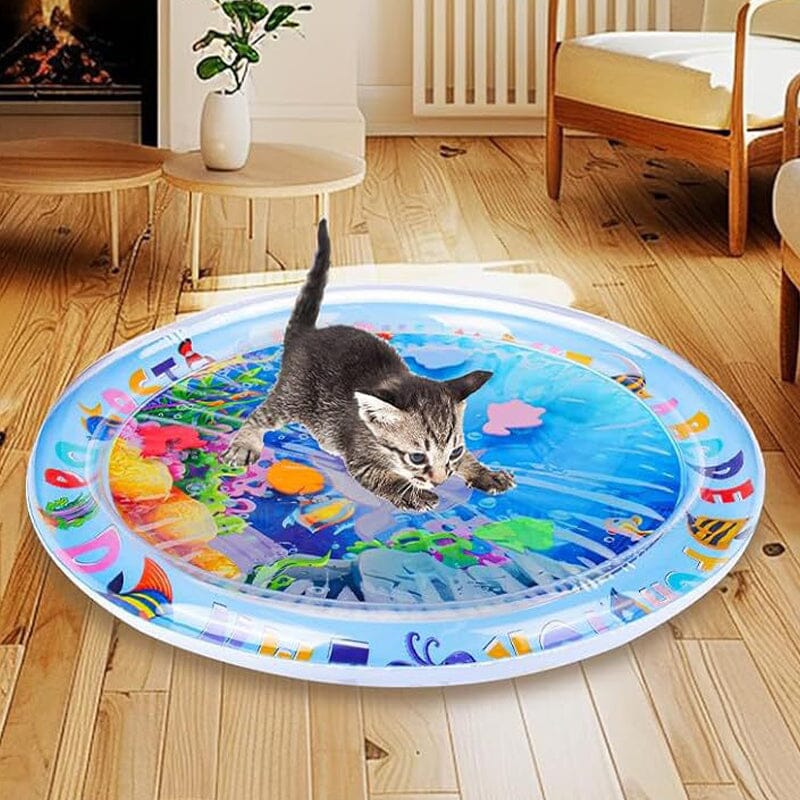 Pet Water Sensory Mat