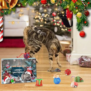 Christmas ountdown cat Calendar