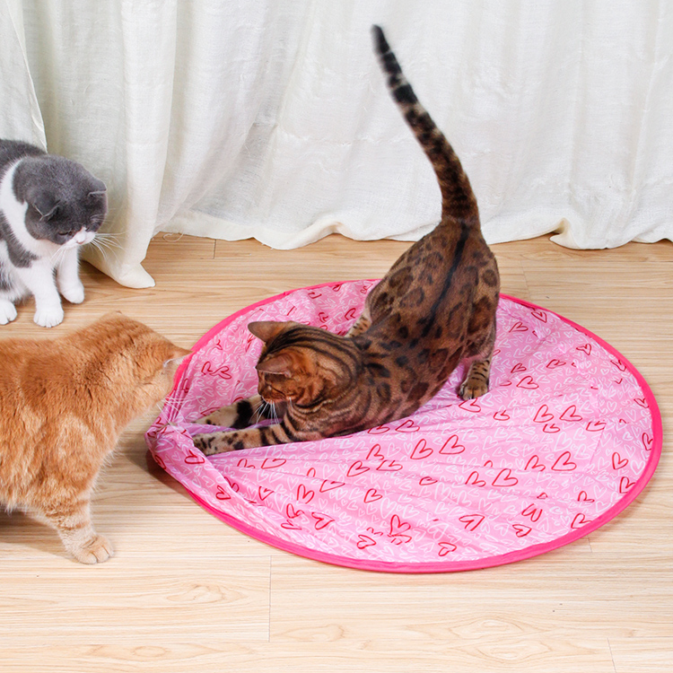 【BIG SALE】2 in 1 Simulated Interactive hunting cat toy