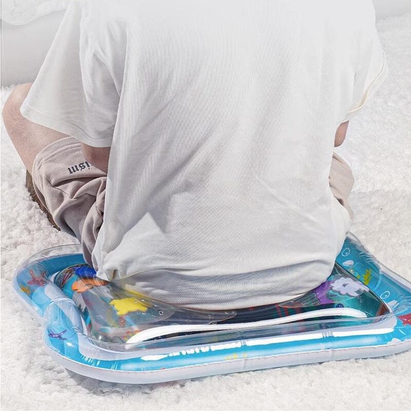 Pet Water Sensory Mat