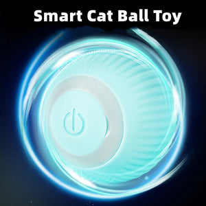 【BIG SALE】2 in 1 Simulated Interactive hunting cat toy