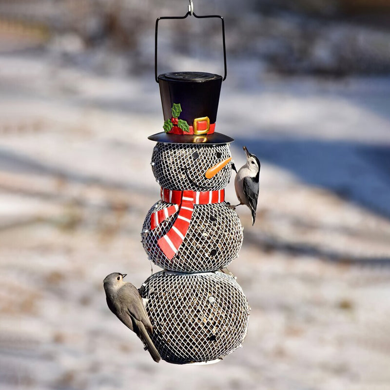 Seed Decorative Bird Feeder