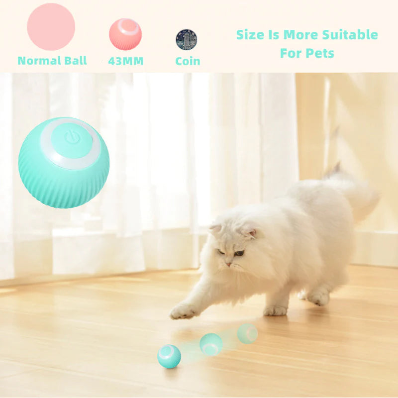 【BIG SALE】2 in 1 Simulated Interactive hunting cat toy