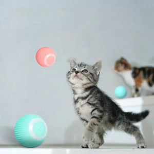 【BIG SALE】2 in 1 Simulated Interactive hunting cat toy