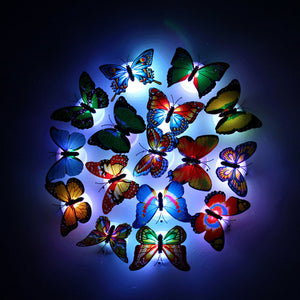 🦋3D LED Butterfly Decoration Night Light