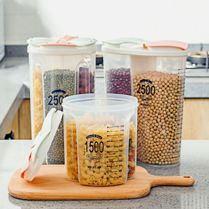 Transparent Sealed Food Storage Box