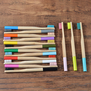 Biodegradable Bamboo Toothbrush