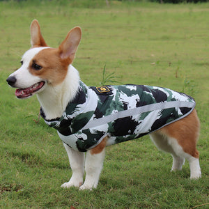 Dog Coat