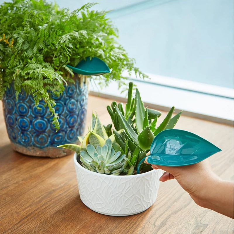 🌸🥬Funny Watering Leaves (6pcs)🥬🌸