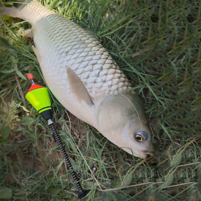 Automatic Fishing Floats