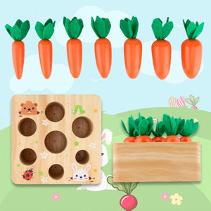 Carrots Harvest Box Toy