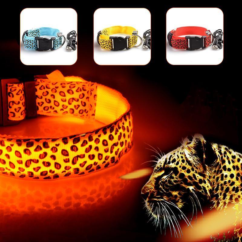 LED luminous dog collar