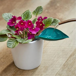 🌸🥬Funny Watering Leaves (6pcs)🥬🌸