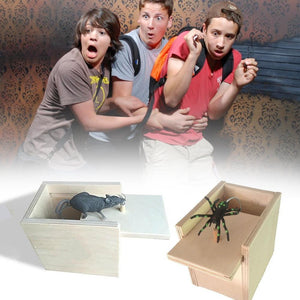 🔥Super Funny Crazy Prank Gift Box Spider