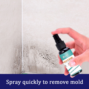 Household Mold Remover