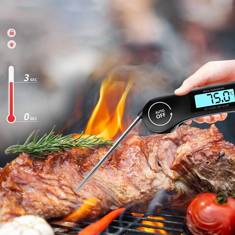 Folding Food Thermometer