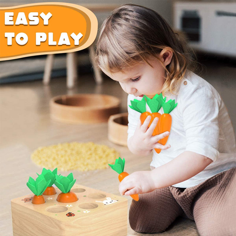 Carrots Harvest Box Toy