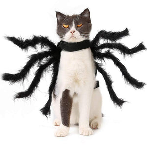 Spider Costume for Pets