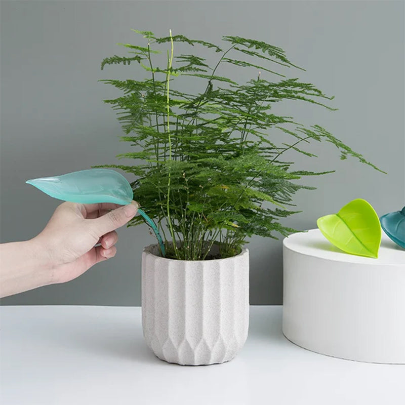 🌸🥬Funny Watering Leaves (6pcs)🥬🌸