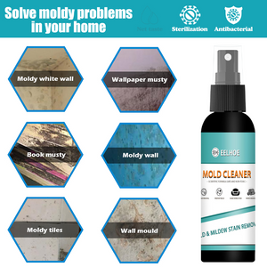 Household Mold Remover