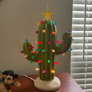 Vintage Christmas Cactus