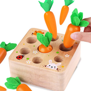 Carrots Harvest Box Toy