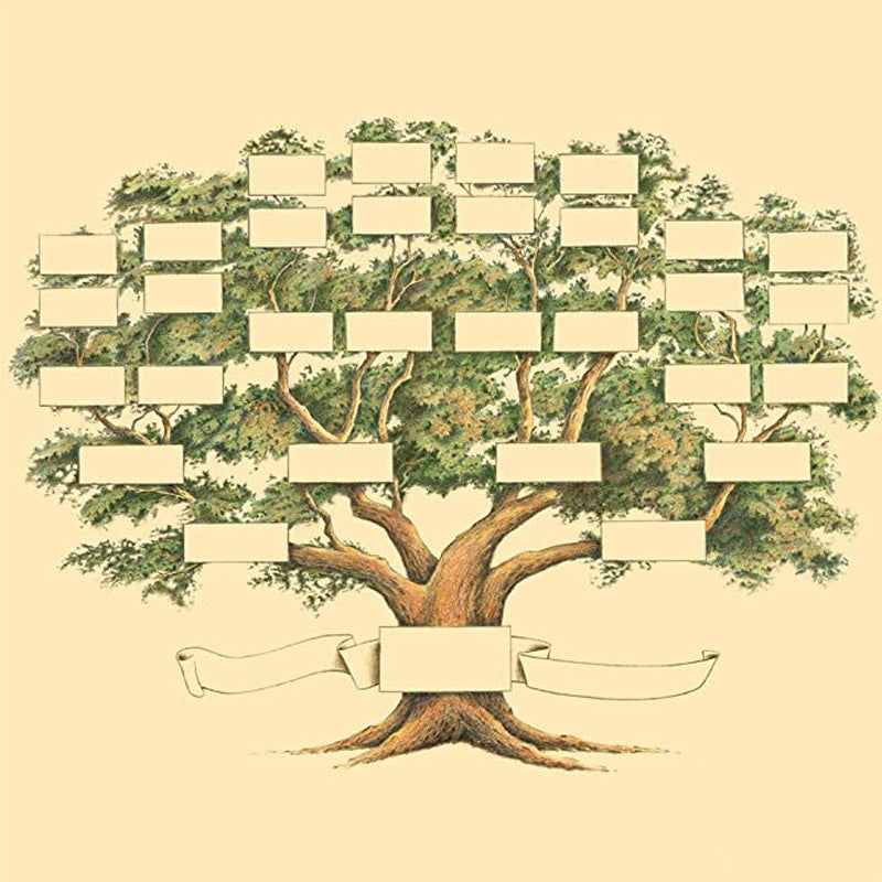 🔥Family Tree Chart Diy Gift