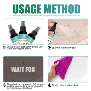 Household Mold Remover