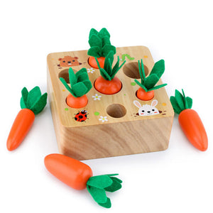 Carrots Harvest Box Toy