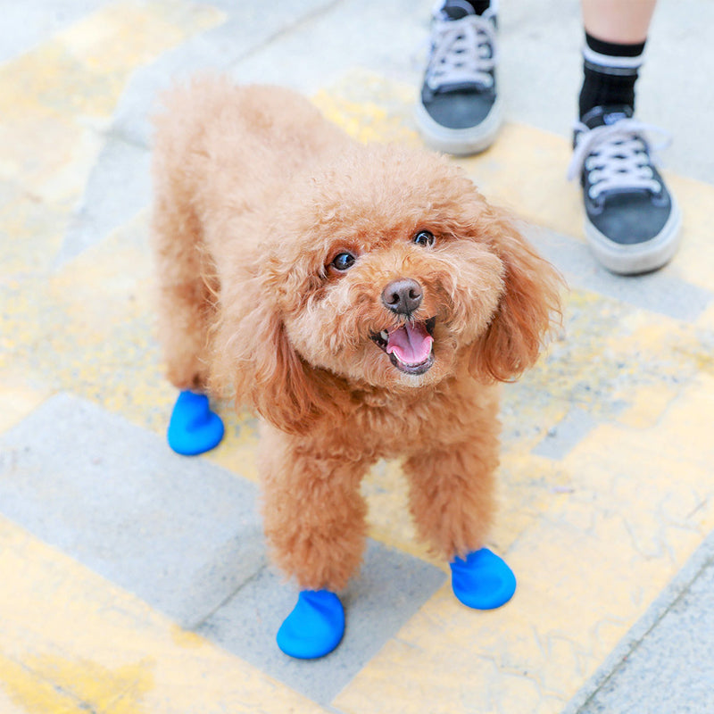 Waterproof Dog Shoes for Paw Protection