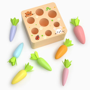 Carrots Harvest Box Toy