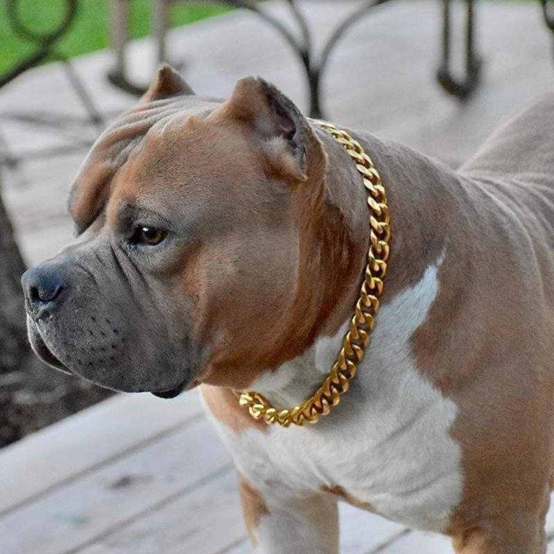 Titanium Steel Pet Dog Chain