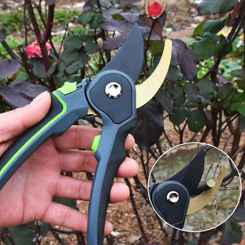 Plant Trim Horticulture Pruner